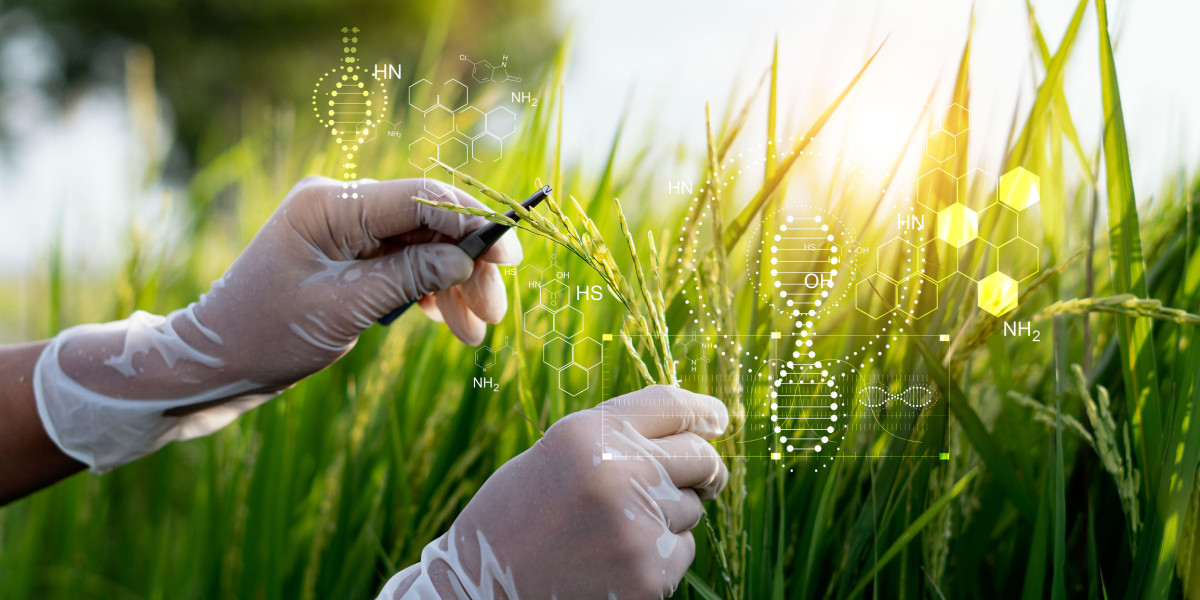 Unlocking the Potential of Modern Agriculture: The Rising Demand in the Plant Breeding Market