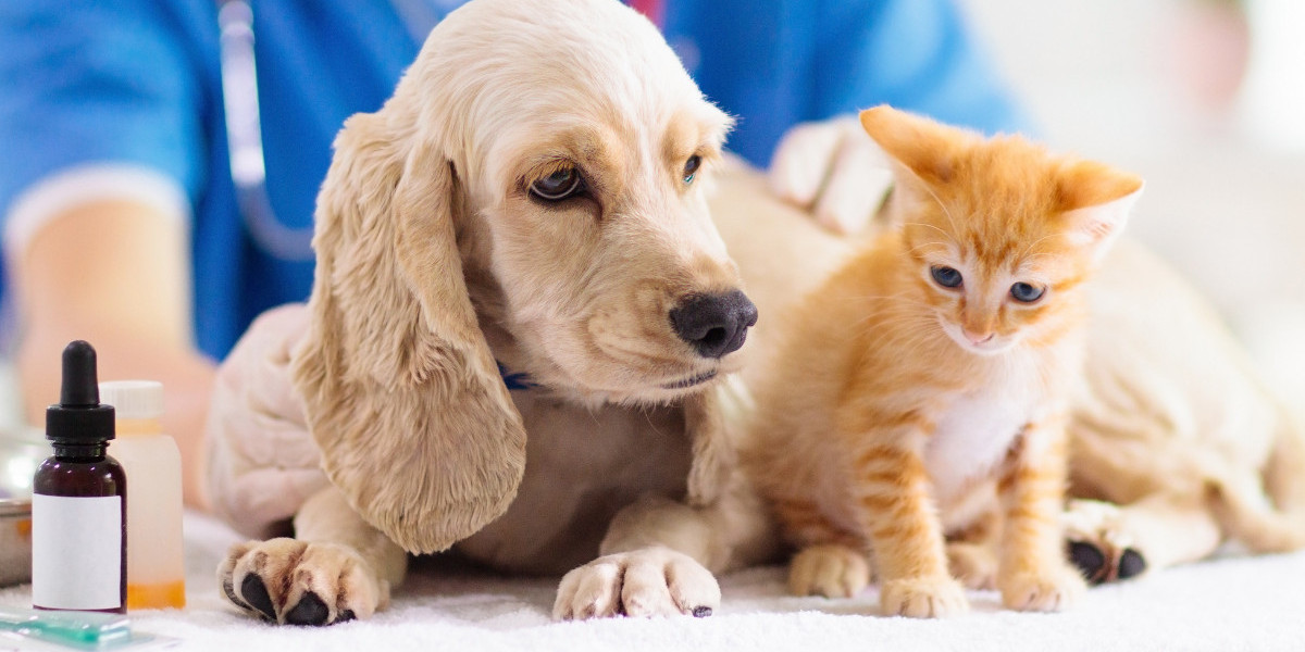 Veterinary Market Growth Factors, Applications, Regional Analysis and Forecast by 2031