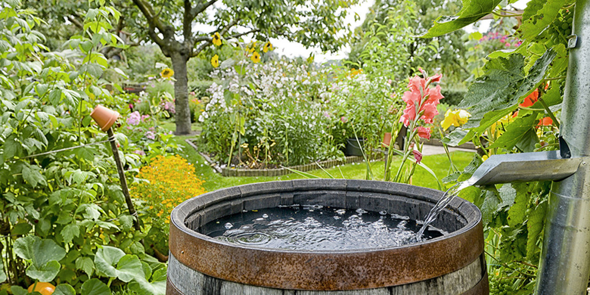 Rainwater Harvesting Manufacturing Plant Project Report 2024 | Syndicated Analytics