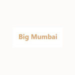 Big Mumbai Profile Picture