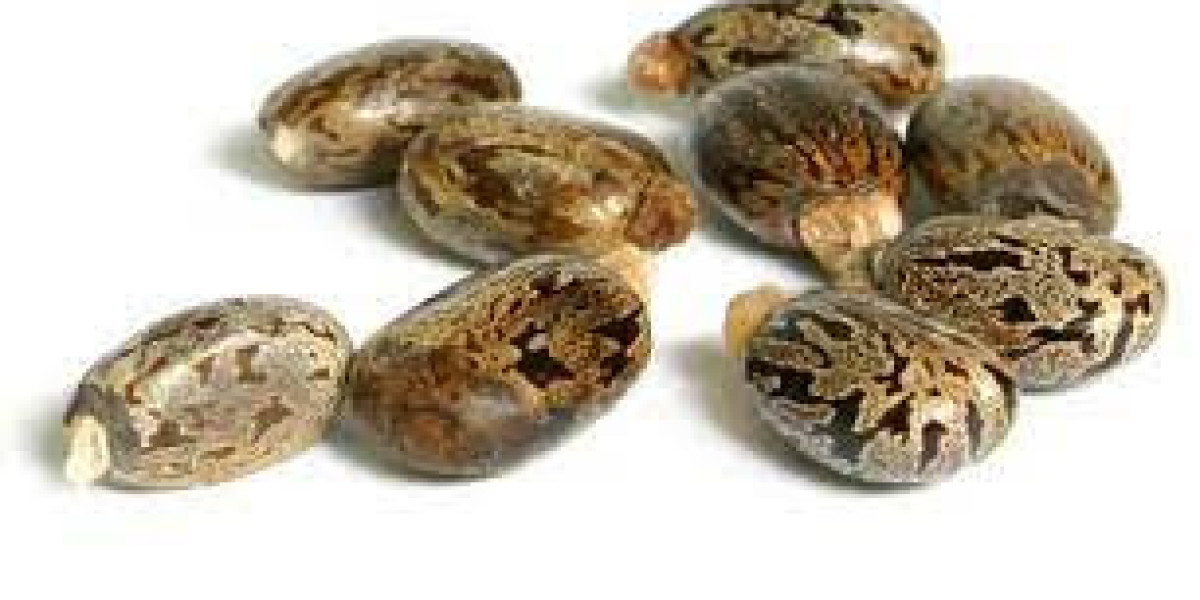 Bio-Based Polyamide Market: Future Opportunities, Analysis & Outlook