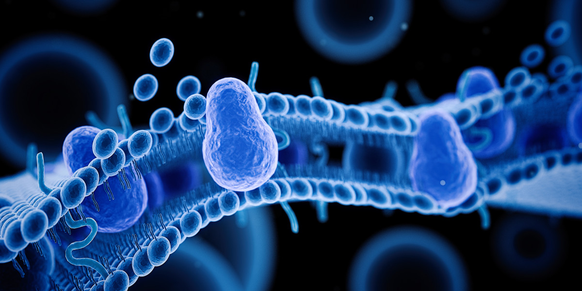 Advancements in Protein Quantification Techniques and Data Processing Methods   