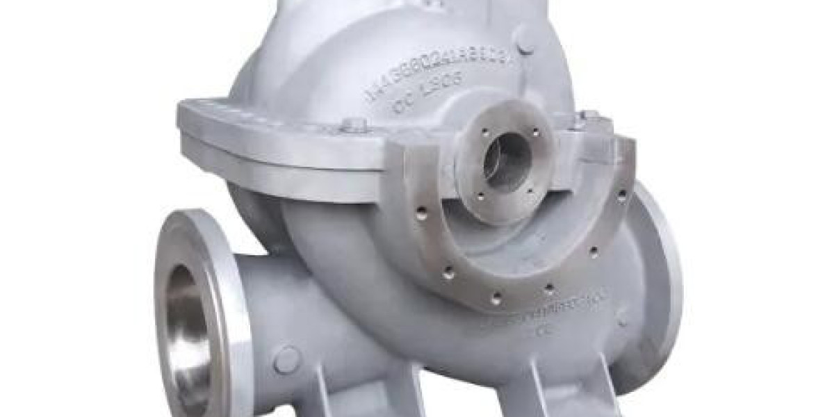 Pump Body Casting that meets the requirements of modern industrial applications