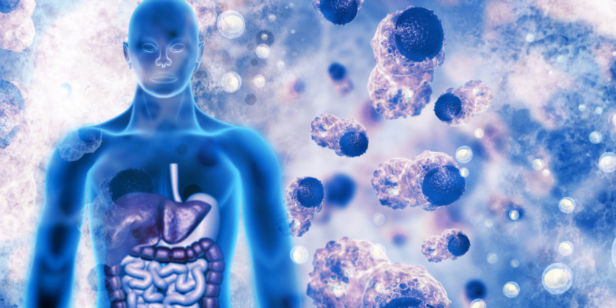 Global Microcarrier Market  And Global Forecast Report 2024-2032