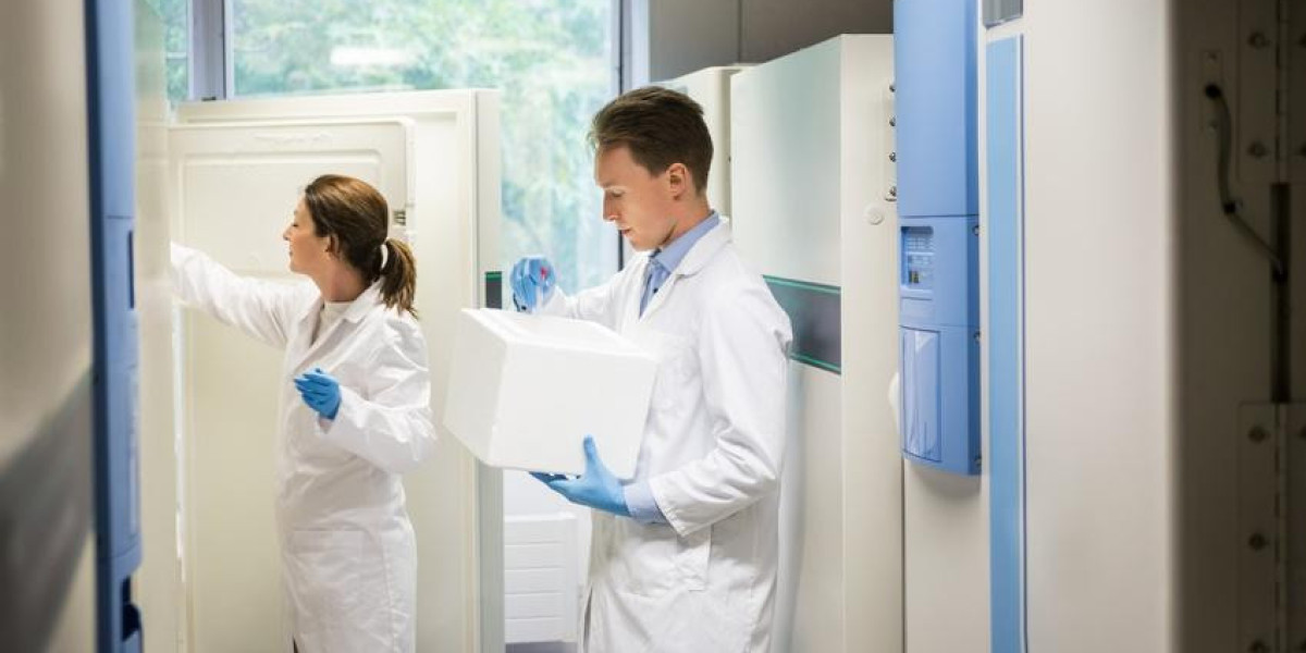 Brazil Cold Chain for Pharmaceutical Market Analysis, Size, Share, Growth, Trends, and Forecasts by 2031