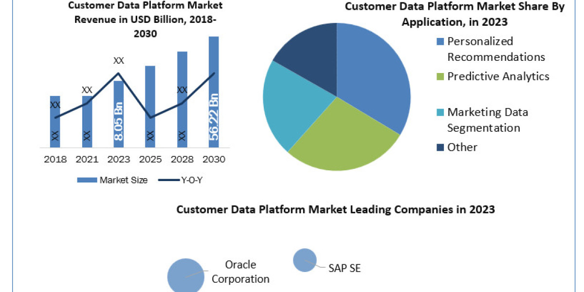 Customer Data Platform Industry Size, Unveiling Growth Potential and Forecasted Outlook for 2024-2030