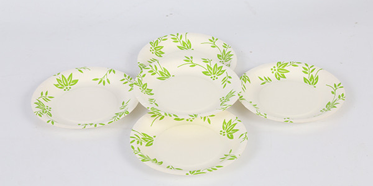 The Evolution of Convenience: A Historical Journey Through the Paper Plate