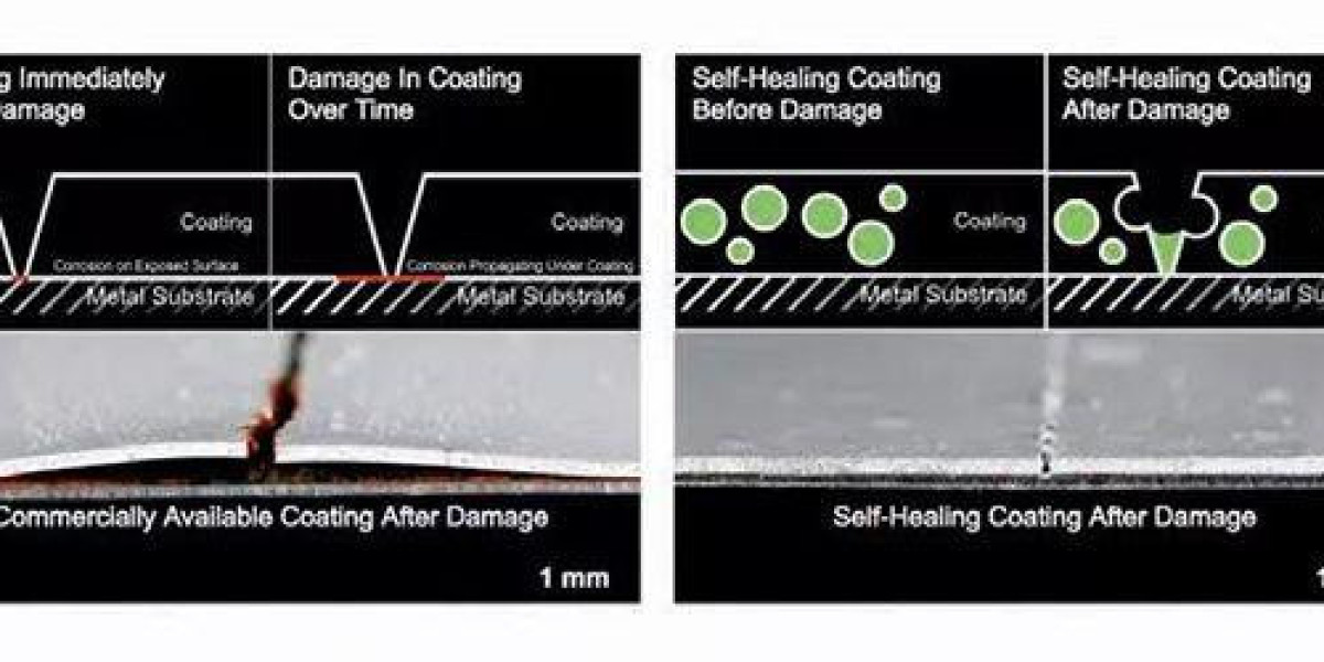 The Future of Self-Healing Coatings: Market Analysis and Growth Projections