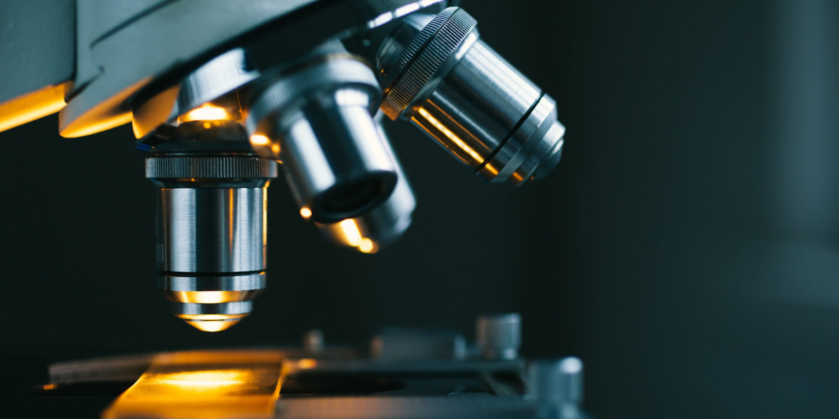 Microscope Market Strategies, Top Players, Growth and Forecast by 2031