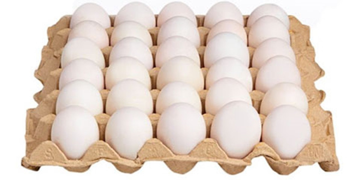 Egg Tray Manufacturing Plant Project Report, Machinery Requirement and Investment Opportunities