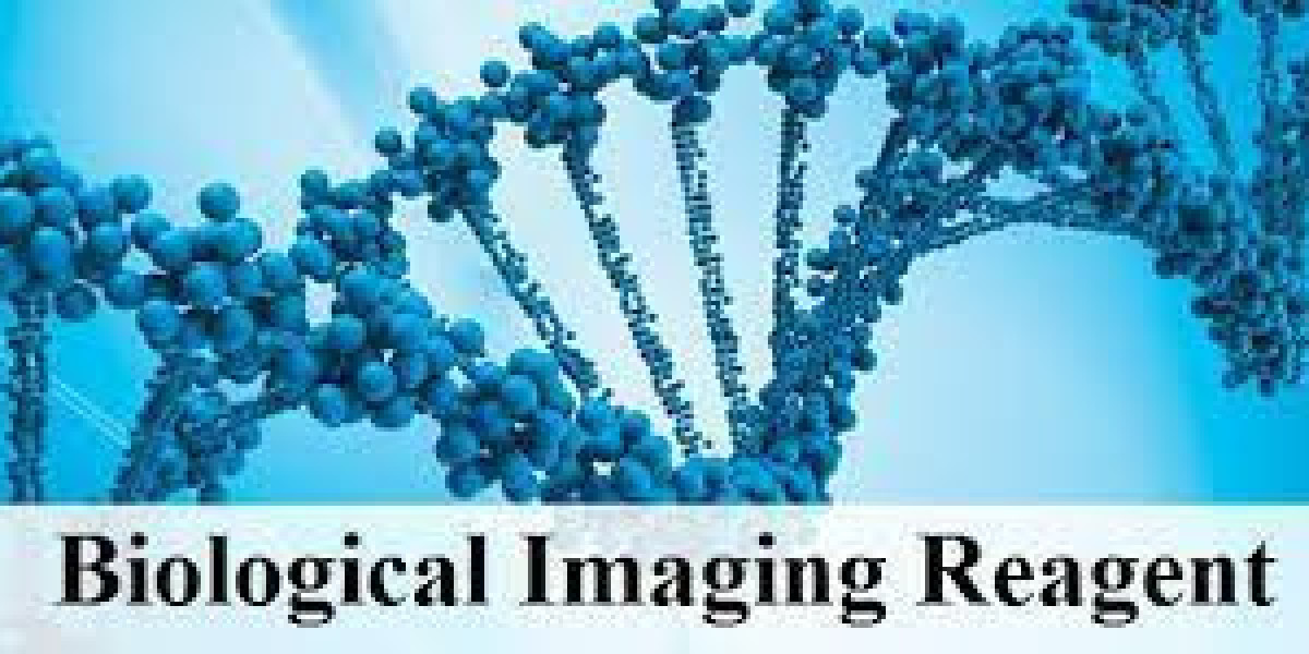 Biological Imaging Reagents Market Size, Growth, Industry Demand and Forecast to 2032
