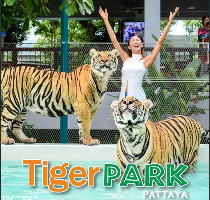 Tiger Park Pattaya Profile Picture