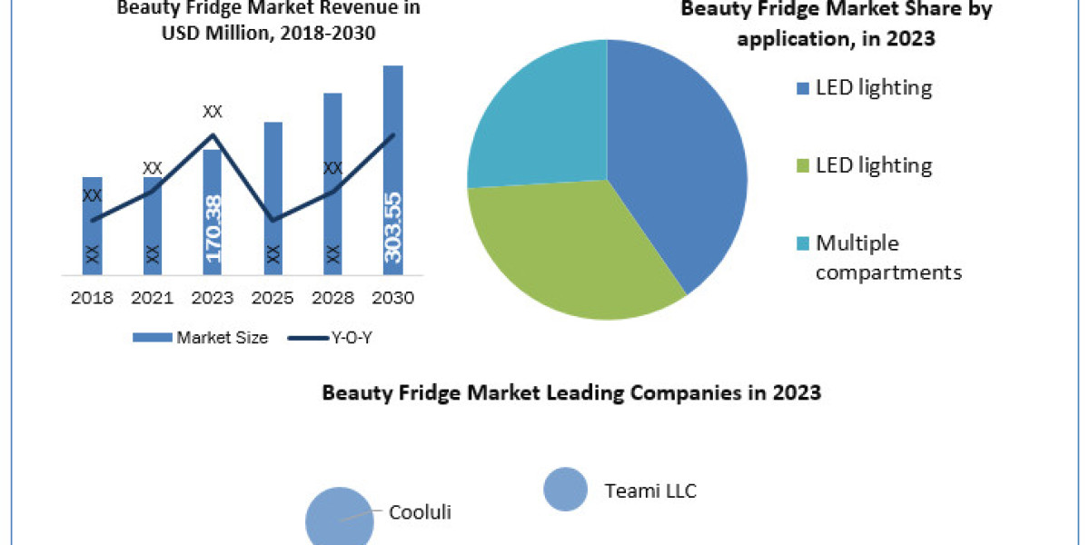 Detailed Industry Trend Analysis and Growth Projections for the Beauty Fridge Market Through 2030