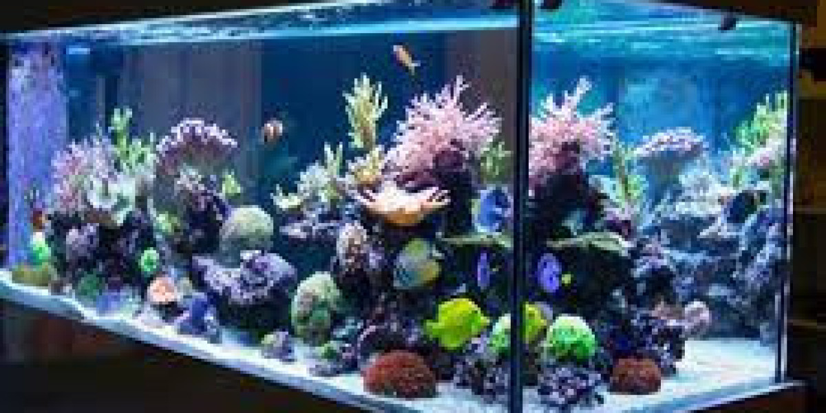 LED Aquarium Lighting Market Research Report: Global Industry Overview Report to 2032