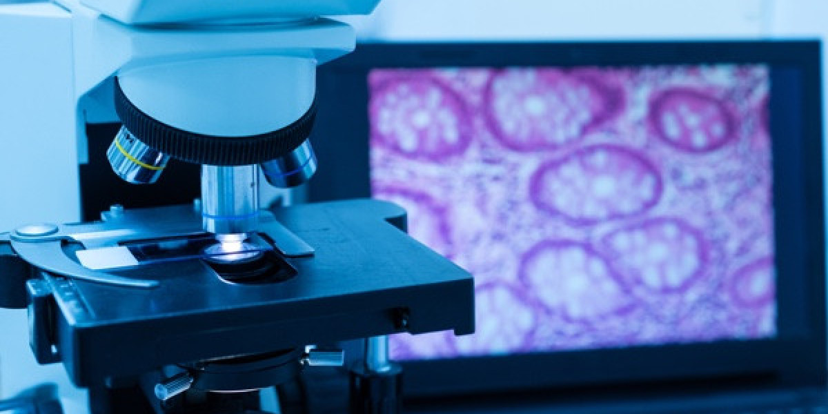 Digital Pathology Market Size, Status, Growth | Industry Analysis Report 2023-2032