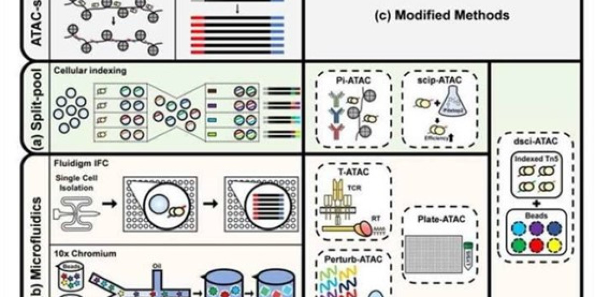 Introduction of ChIP-Seq: Principle, Process,Advantages