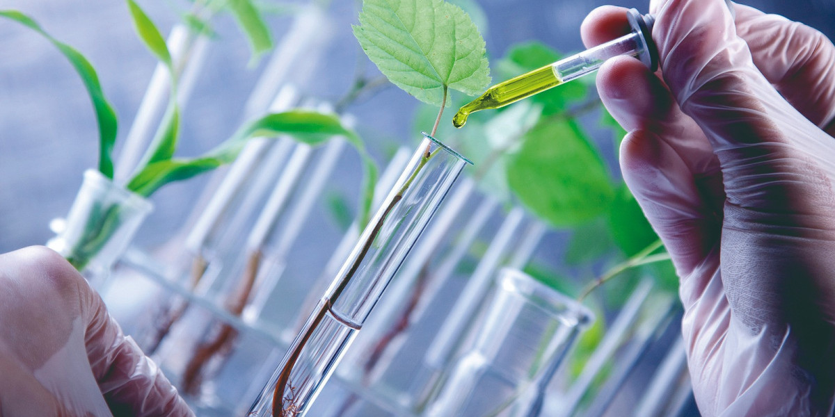 Agricultural Biologicals Market Future Prospects and Industry Analysis: Exclusive Insights by Maximize Market Research P