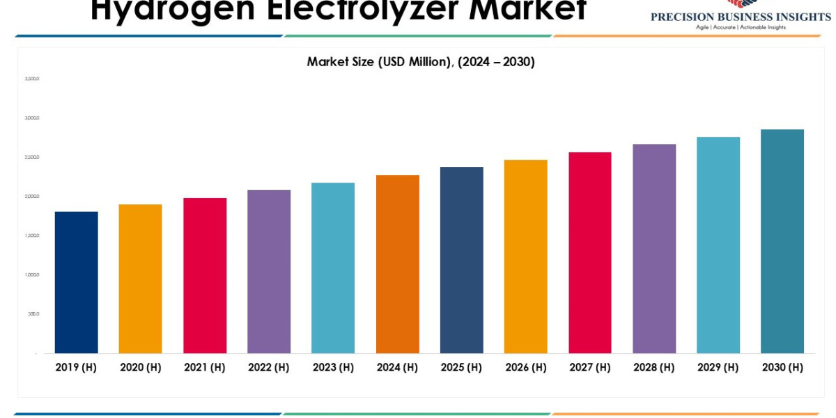 Hydrogen Electrolyzer Market Research Insights 2024 - 2030