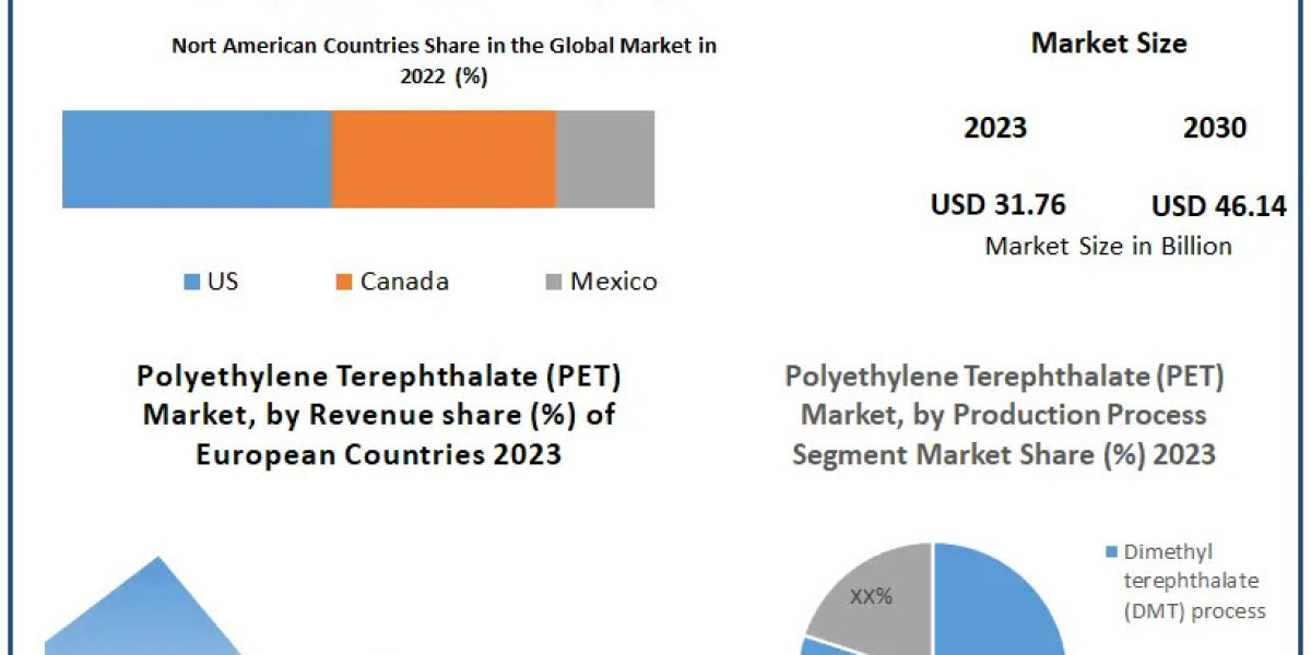 Polyethylene Terephthalate (PET)Market Illuminating the Path: Industry Outlook, Size, and Growth Forecast 2024-2030