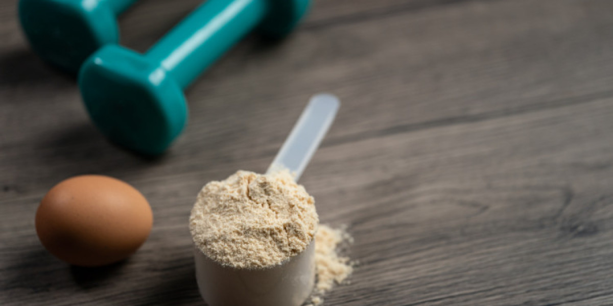 Egg Powder Market And Global Forecast Report 2024-2030