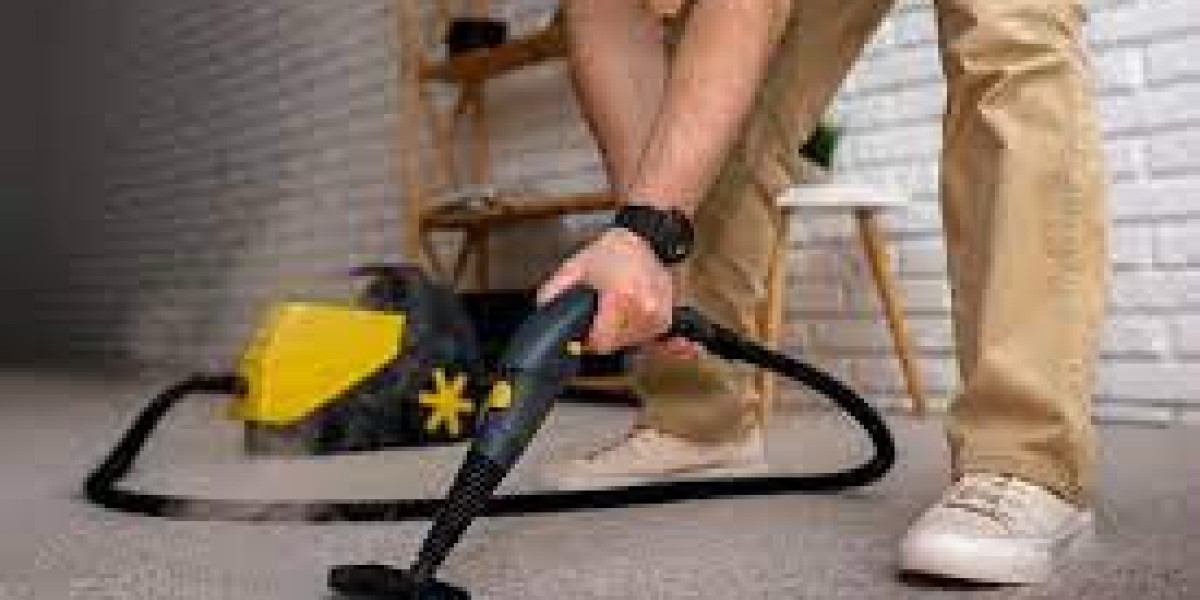 Professional Carpet Cleaning: The Key to a Stunning Home Aesthetic