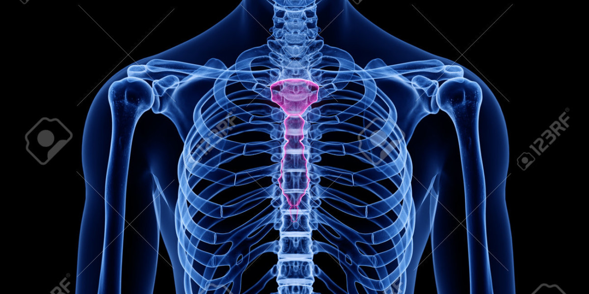 Sternal Closure Systems Market Size, Share, Industry, Forecast and Outlook (2024-2031)