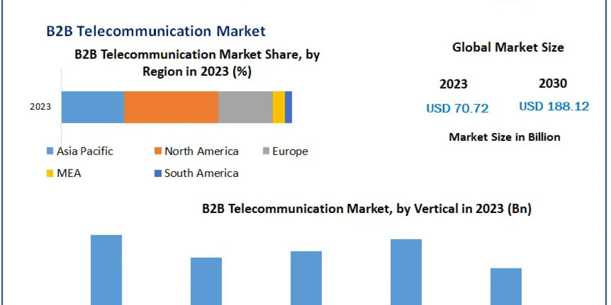 B2B Telecommunication Market Industry Profile, Size, Determining Factors, and Future Insights