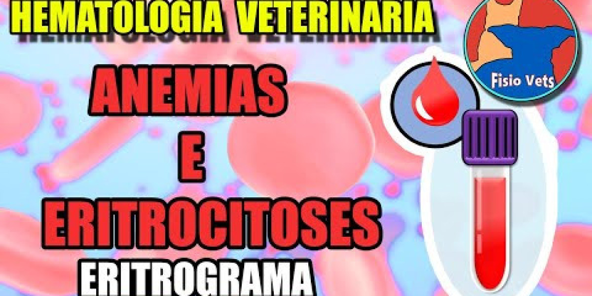 Entenda o Hemograma na Cinomose Canina: Diagnóstico e Cuidados Essenciais para a Saúde do Seu Cão