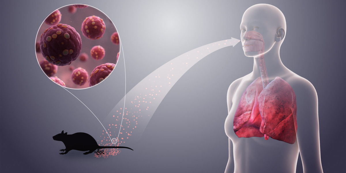 Hantavirus Diagnostics Market Overview, Growth Trends, Segmentation, and Key Players (2024-2031)