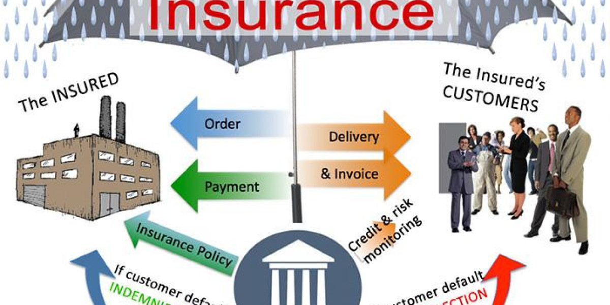 Trade Credit Insurance Market Size To Grow USD 24,472 Million By 2030| CAGR of 9%