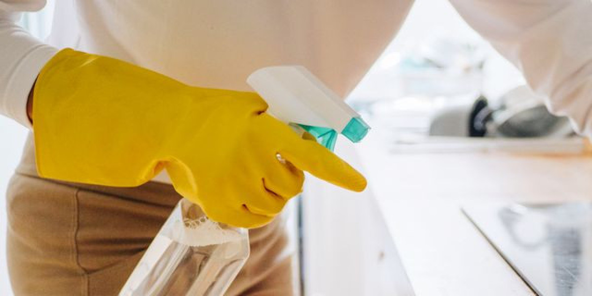 All Purpose Cleaning Spray Manufacturing Plant Project Report 2024: Business Plan, and Profit Margin