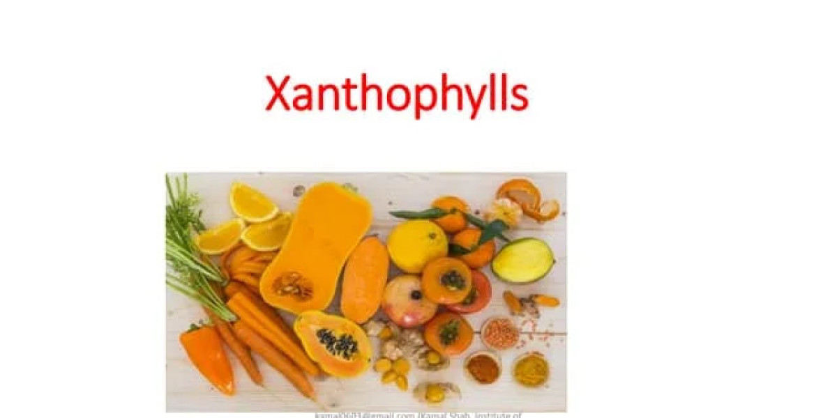 Xanthophyll Market Size, Growth & Industry Research Report, 2032