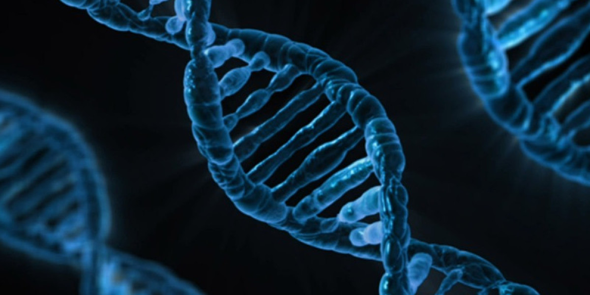 Explore the Top Trends Shaping the Global Genetic Engineering Market in 2024