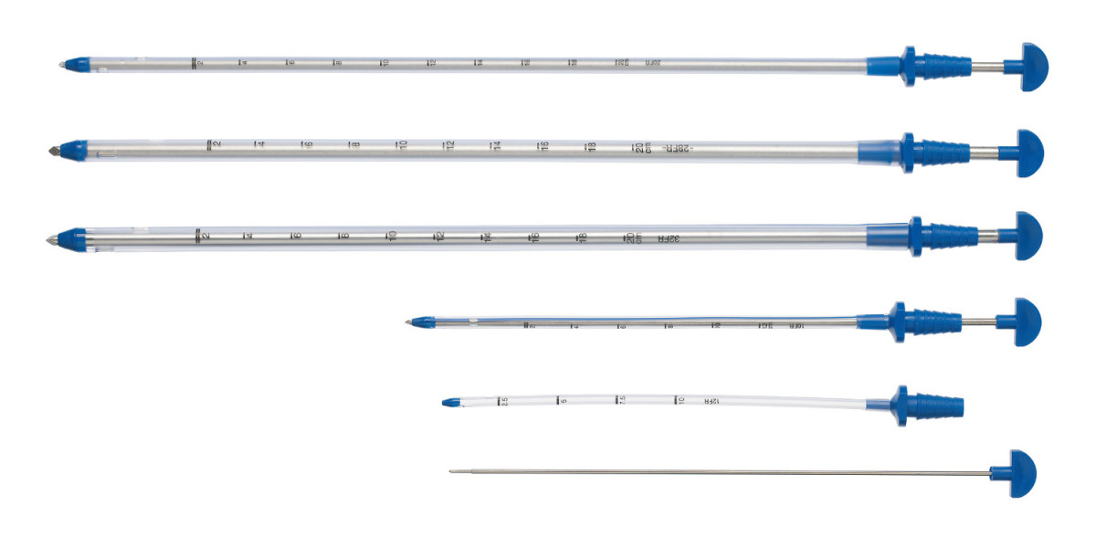 Thoracic Catheters Market Forecast and Outlook (2024-2031)