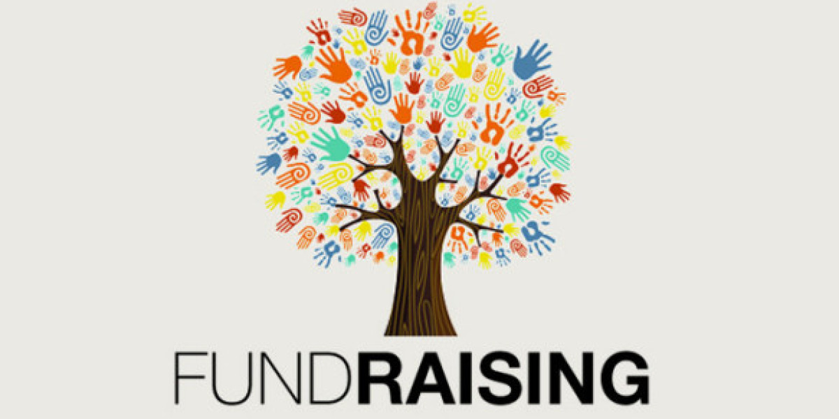 What’s Currently Happening in Global P2P Fundraising Market? (Q1 2024)