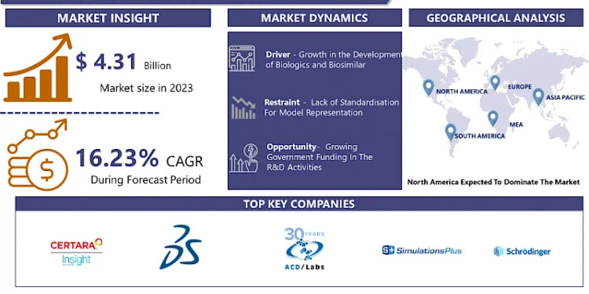 Biosimulation Market Opportunities, Growth and Forecasting