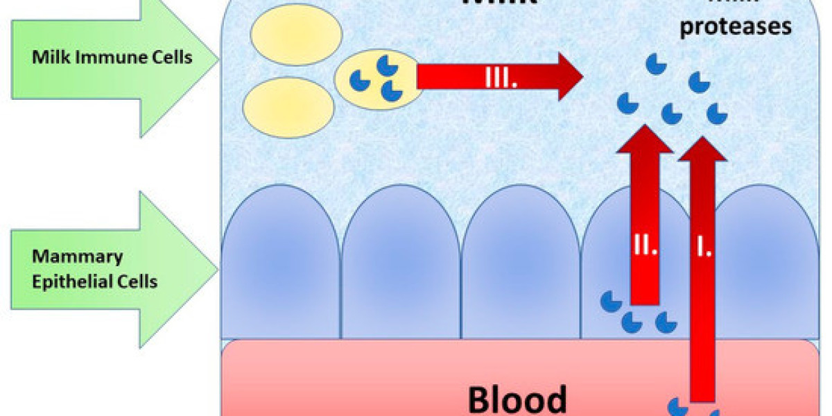 Proteases Market Regional Share, Trends, and Forecast by 2031