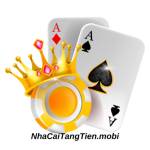 nhacaitangtien mobi profile picture