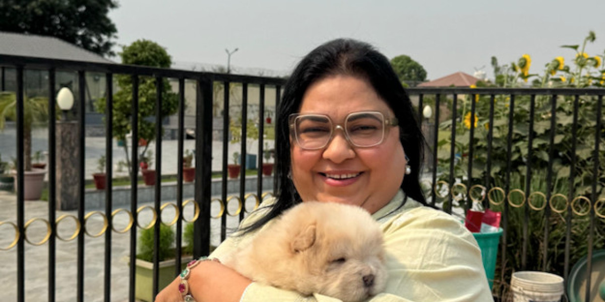 How Ruchi Rathor Is Driving Inclusive Innovation in Fintech