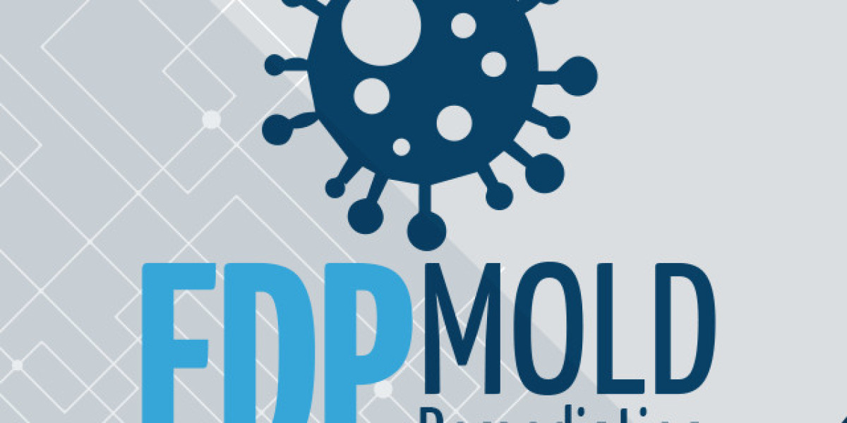 Mold Remediation and Testing: Protect Your Health and Home