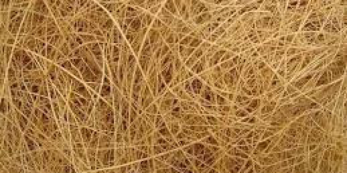 Coir Fibre Manufacturing Plant Project Report 2024: Machinery, Cost and Raw Materials Requirement