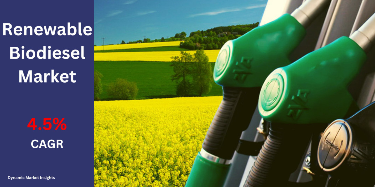 Renewable Biodiesel Market Trends: Driving Sustainability and Innovation