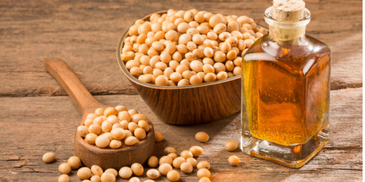 Global Soybean Oil Market Size And Forecast Report 2024-2032