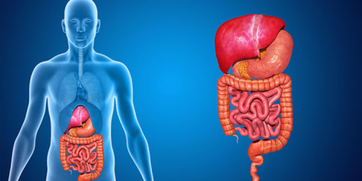 Finding the Right Gastroenterologist Doctor in Pune