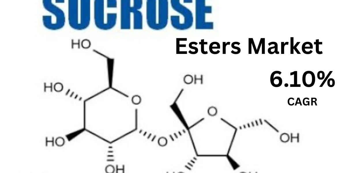 Sucrose Esters Unveiled: Key Drivers, Challenges, and Regional Insights