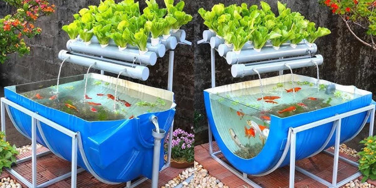 Aquaponics Market Sees Strong Demand as Urban Farming and Sustainability Become Priorities