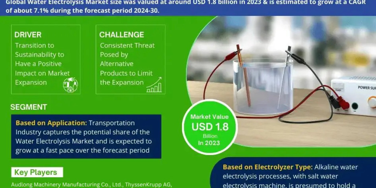 Water Electrolysis Market 2024: Industry Growth, Competitive Analysis, Future Prospects and Forecast 2030