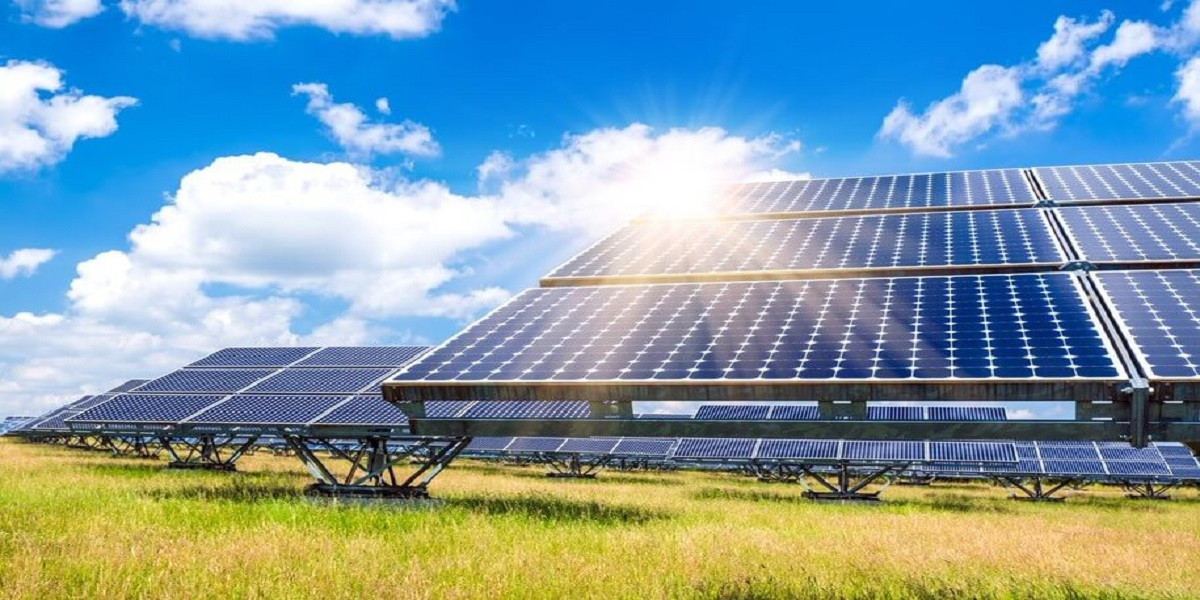 Top Solar Companies Revolutionizing the Renewable Energy Landscape