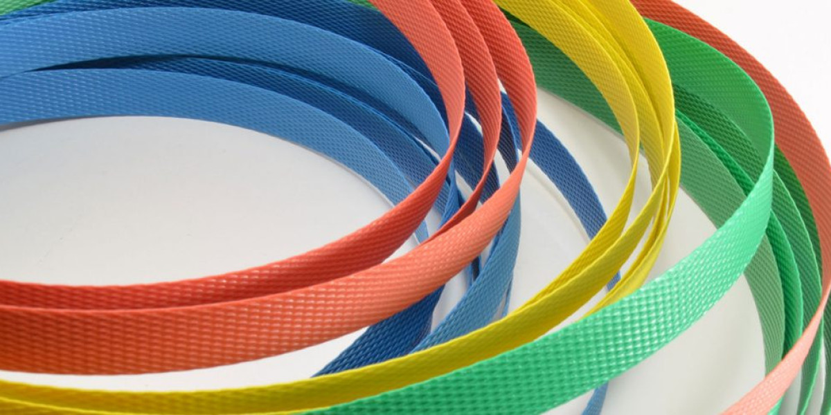 Plastic Straps Market Forecast and Outlook (2024-2031)