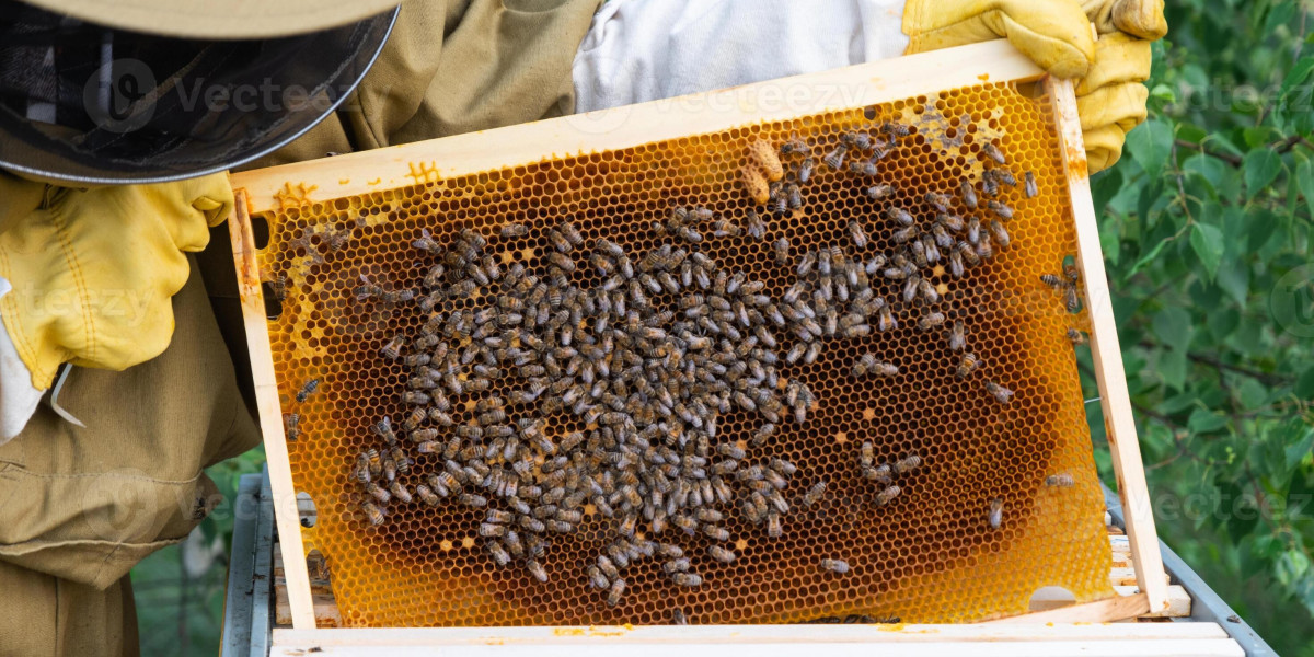 Apiculture Market Overview, Growth Trends, Segmentation, Key Players (2024-2031)